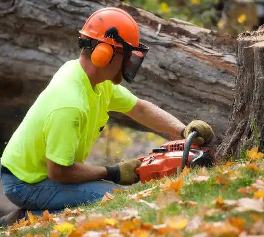 tree services Langdon